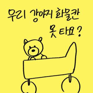 항공사의 반려동물 위탁 운송 중단 소식과 기내 반입 규정을 분석하고 반려동물 여행 용품을 추천하는 -drawing-woolim 일러스트 썸네일