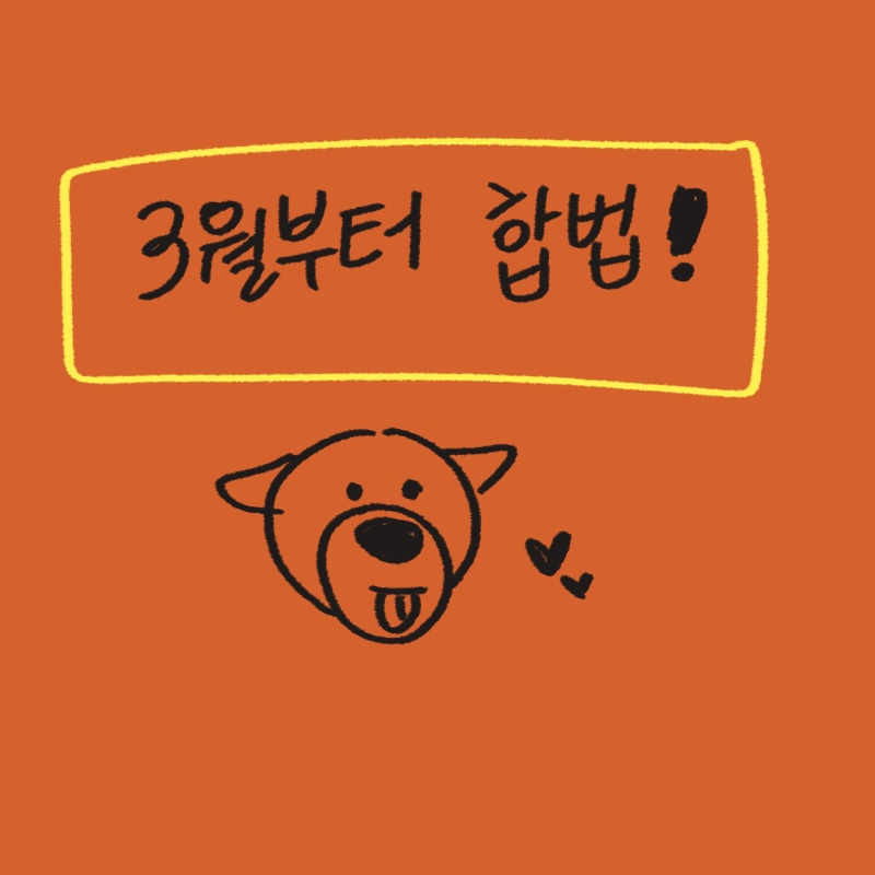 직접 그린 반려동물 동반 식당 이용 가이드와 서울 및 경기도 주요 애견동반 맛집 지도 일러스트
