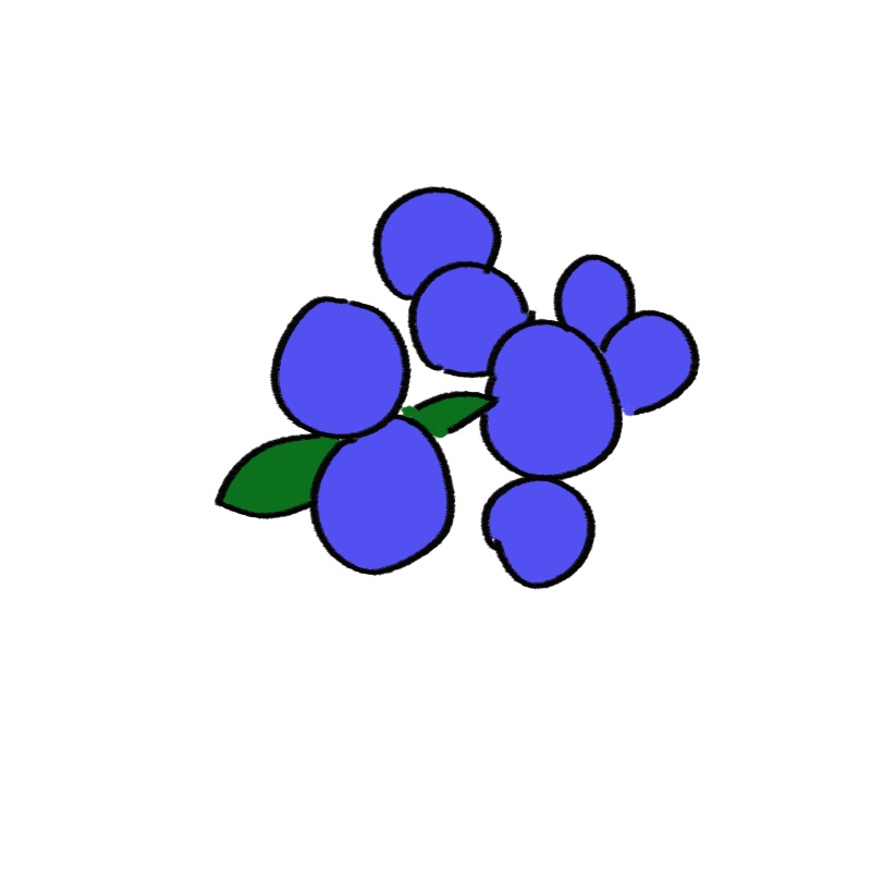 식초 세척을 통해 블루베리 보관 기간을 늘리는 방법과 건조의 중요성을 설명하는 woolim의 전문 가이드 일러스트