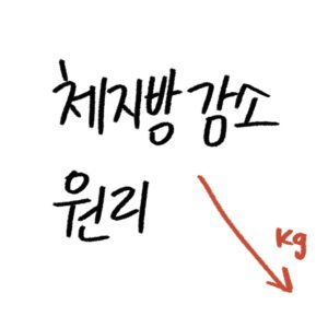 체지방 감소 원리