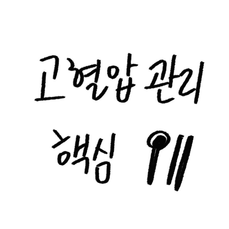 고혈압 핵심 관리 가이드