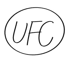 ufc 미들급 가이드