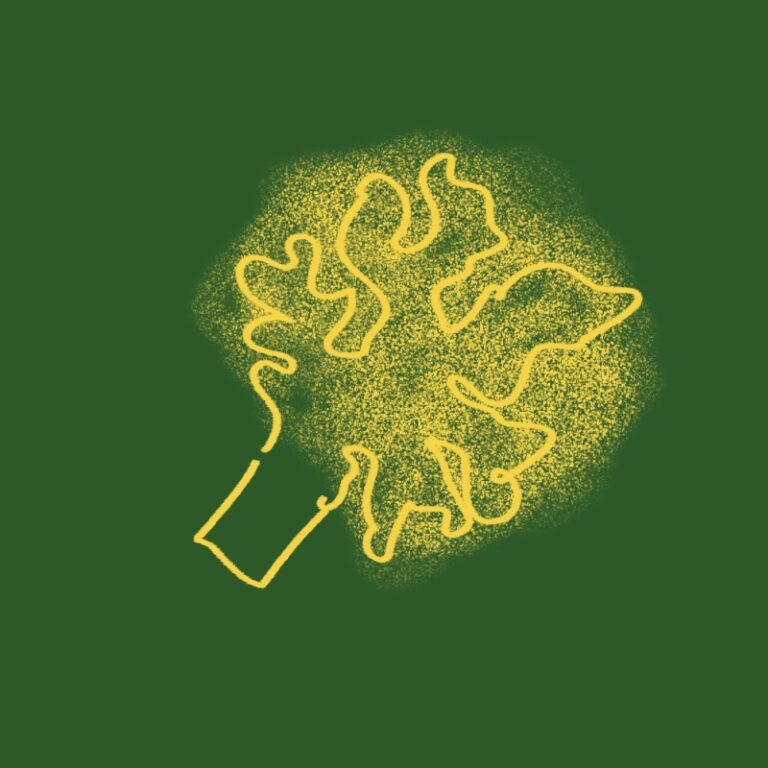 혈당 조절과 다이어트에 좋은 브로콜리의 효능과 조리법을 설명하는 woolim의 가이드 일러스트