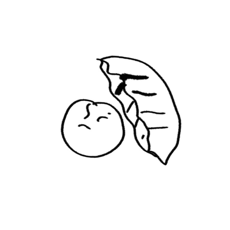 청주 코끼리만두 매운 김치만두 대기 시간과 예약 방법 솔직 리뷰 일러스트