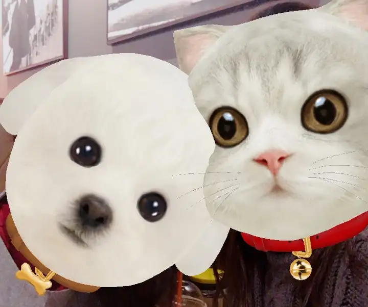 넥스가드스펙트라 제다큐어 강아지 심장사상충약 비교 가격 성분 구충범위 부작용 2026 봄 woolim 직접 촬영한 펫 캐릭터