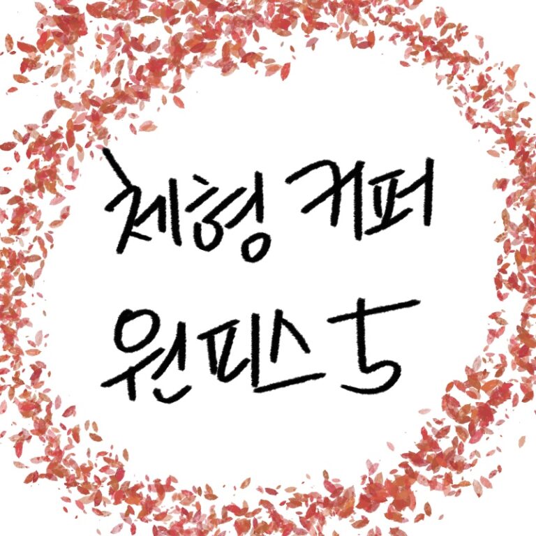 체형 커버 원피스 추천 TOP5 셔링 랩 A라인 비교 2026