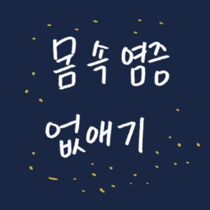 몸속 염증 없애기 만성염증 원인 항염증 식품 총정리 2026