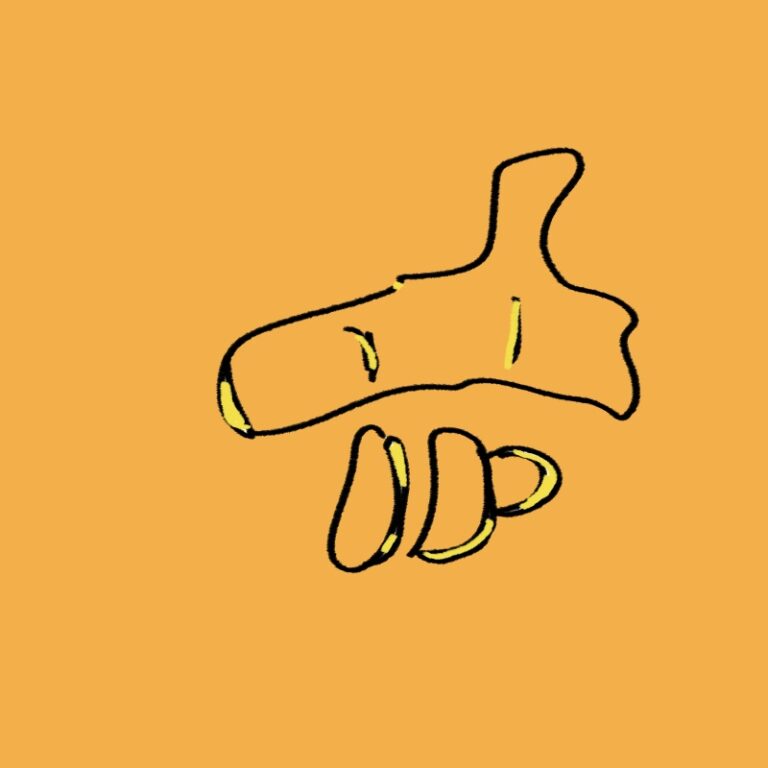 커큐민 효능 흡수율 높이는 방법