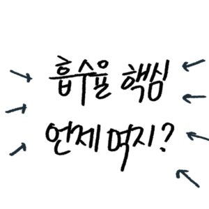 마그네슘 흡수율, 복용법 가이드