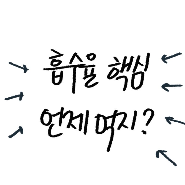 마그네슘 흡수율, 복용법 가이드