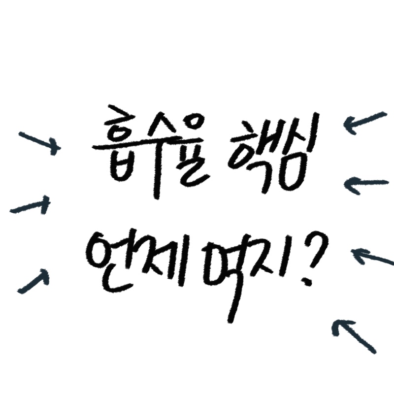 마그네슘 흡수율, 복용법 가이드