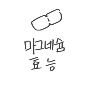 마그네슘 효능 복용법 부작용 추천 영양제 가이드 2026