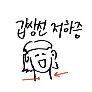 갑상선 기능 저하증 가이드